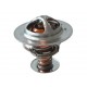 Termostat NISSAN