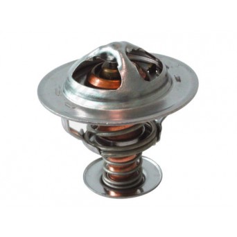 Termostat NISSAN