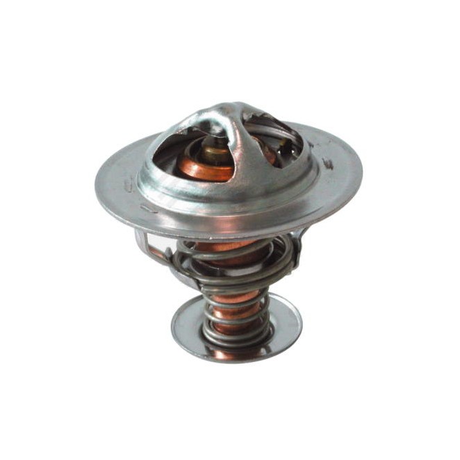 Termostat NISSAN