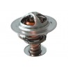 Termostat NISSAN