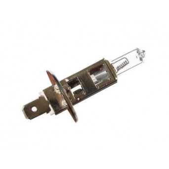 Žarnice H1 12-24V