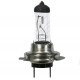 Žarnice H1 12-24V