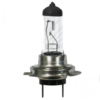 Žarnice H1 12-24V