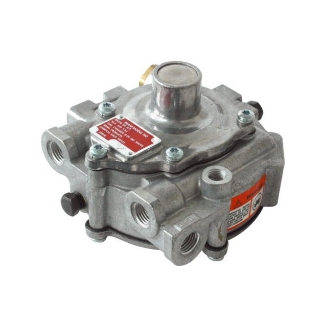 Plinski uparjalnik BEAM